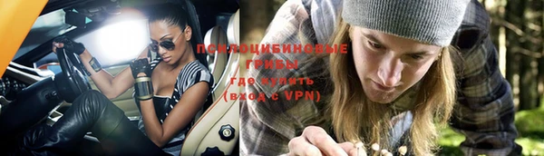ПСИЛОЦИБИНОВЫЕ ГРИБЫ Сафоново