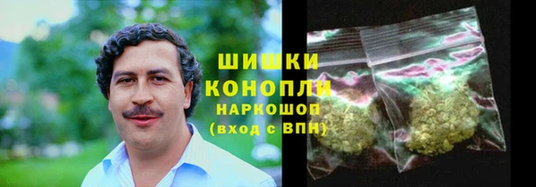 индика Балабаново