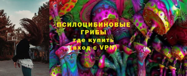 шишки Балахна