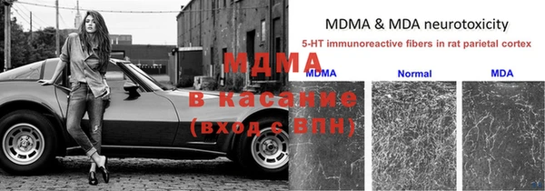 молекула духа Белоозёрский