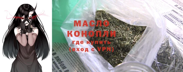 индика Балабаново