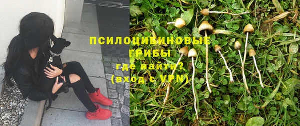 индика Балабаново